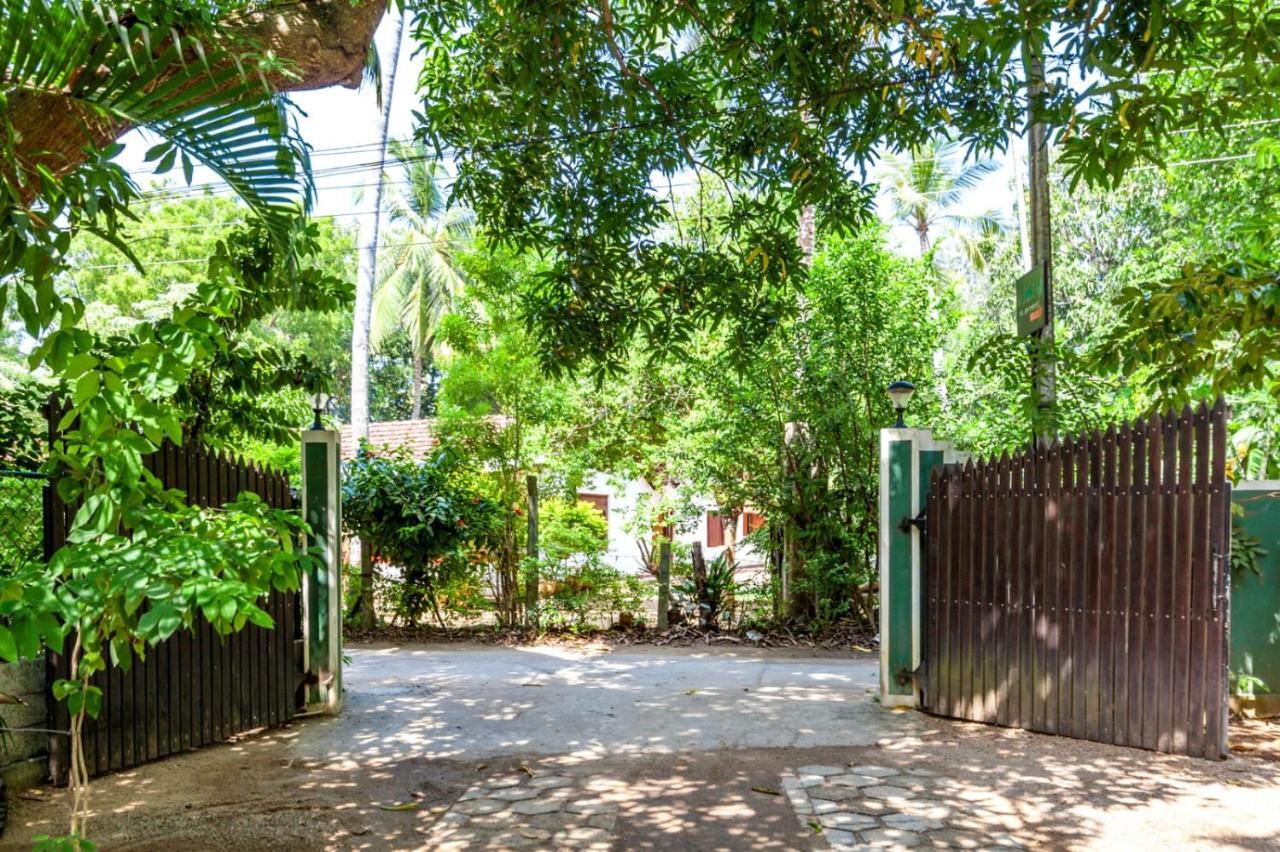 Julia Safari Inn Tissamaharama Ngoại thất bức ảnh